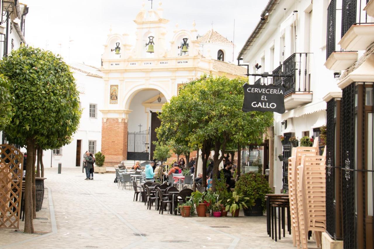 Hacienda La Divertida Борнос Екстер'єр фото